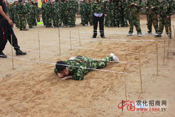 挑戰(zhàn)隊(duì)-堅(jiān)持堅(jiān)持在堅(jiān)持