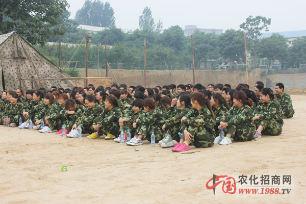 團隊協(xié)作,極其重要