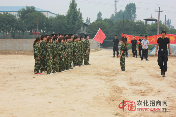 團隊組建
