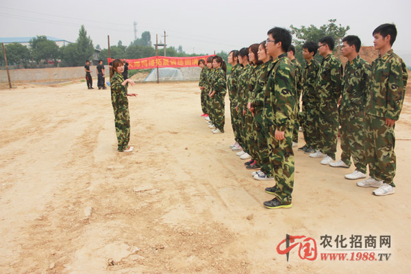 組建團(tuán)隊