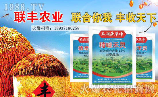【聯(lián)豐農(nóng)業(yè)】祝大家2017年心想事成,工作順利,闔家歡樂(lè)!