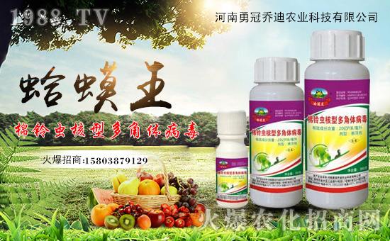 河南勇冠喬迪農(nóng)業(yè)科技有限公司1