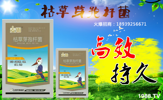 【深圳萬邦作物】給廣大客戶拜年了!祝大家雞年大吉,好運(yùn)連連!