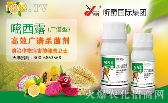 昕爵國際集團