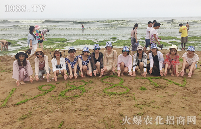 青島 心的起航