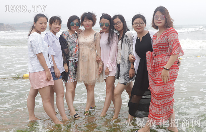 歡樂(lè)旅行,魅力青島