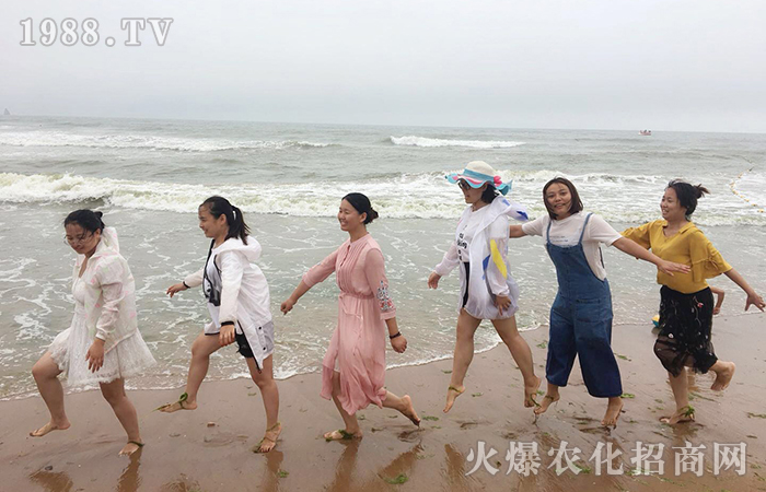 紅瓦綠樹、碧海藍(lán)天,擁抱大海,放飛心情!