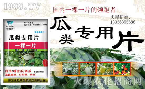 【山東沃億佳】祝大家2019幸福一整年,好運伴你走19,幸福伴你齊飛!