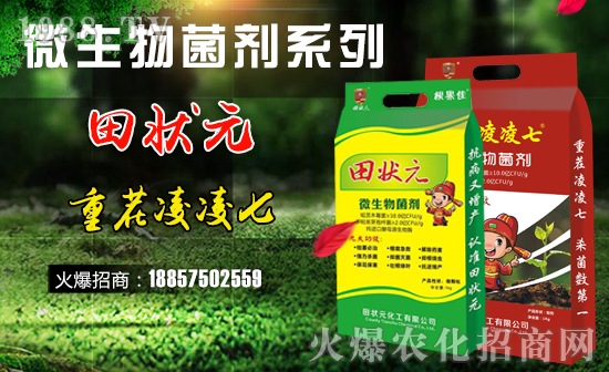 【田狀元化工】祝全國(guó)經(jīng)銷商豬年大吉,萬(wàn)事如意!