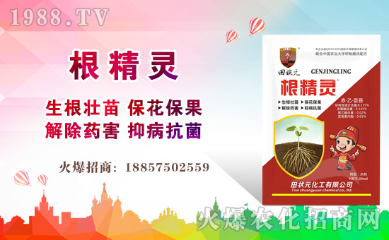 【田狀元化工】祝全國(guó)經(jīng)銷商豬年大吉,萬(wàn)事如意!