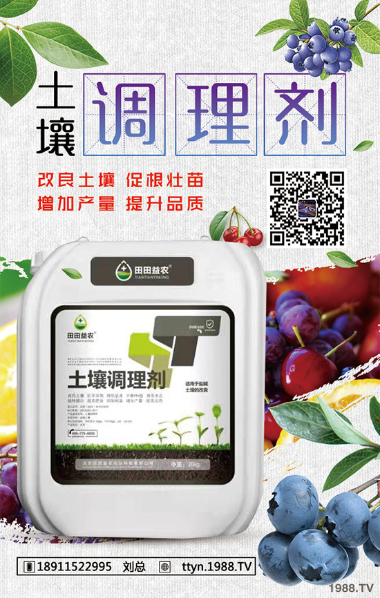長(zhǎng)春花冬季怎么養(yǎng)？長(zhǎng)春花冬季養(yǎng)殖方法