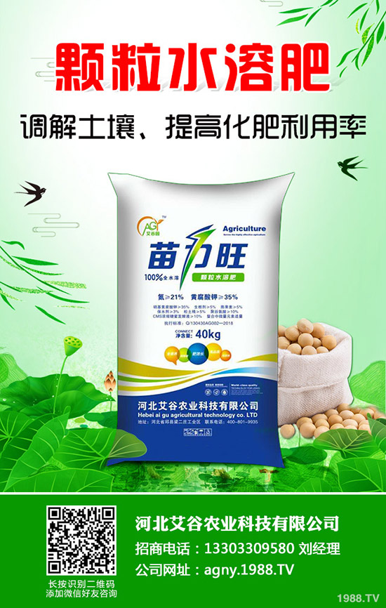 西瓜種植要高產(chǎn)，不可不看這一篇！全面實用