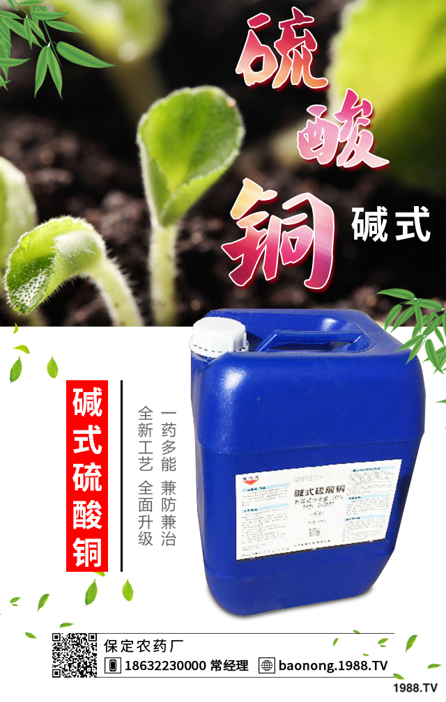 如何巧治蘇鐵葉斑?。刻K鐵葉斑病防治技巧