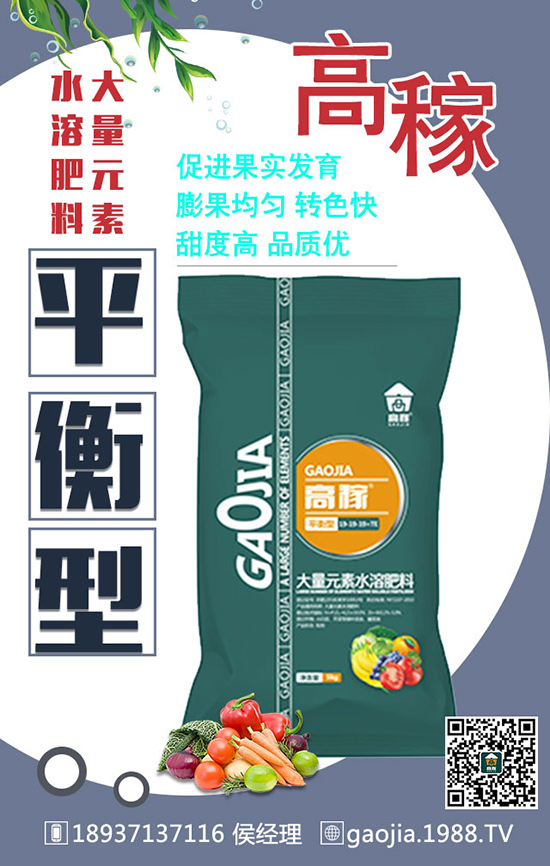 如何正確的給甜瓜施肥？怎么施肥？施什么肥？