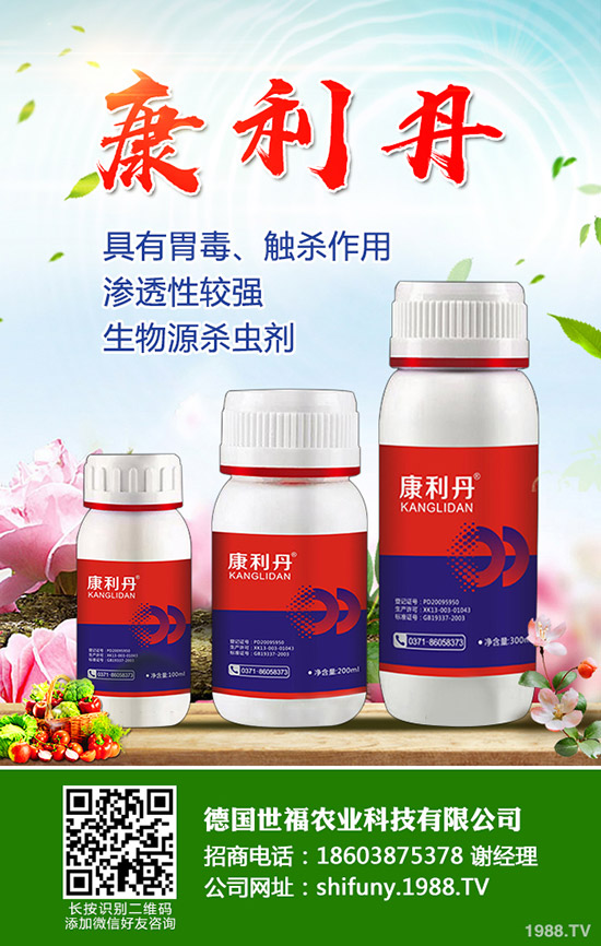 西洋參種植方法，西洋參田間管理要點！