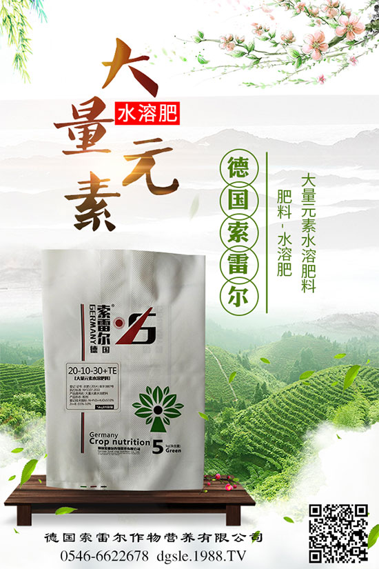 格?;ㄊ裁磿r(shí)間種植?格?;ㄔ耘嘁c(diǎn)!