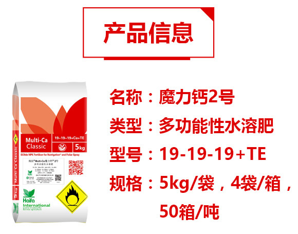 多功能性水溶肥19-19-19+TE-魔力鈣2號-海法科貿_02