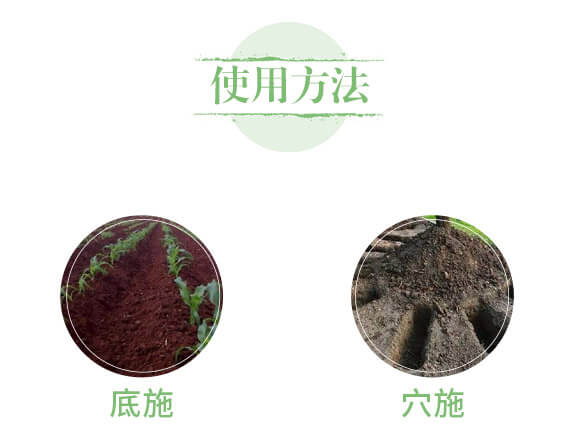 生物有機(jī)肥-苗壯實(shí)業(yè)_05