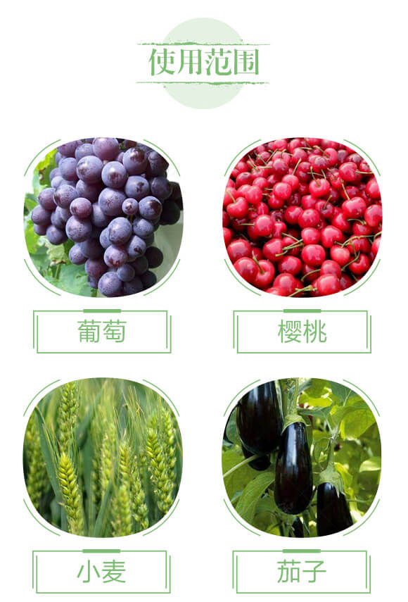 生物有機(jī)肥-苗壯實(shí)業(yè)_04