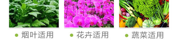 細(xì)胞分裂素-國(guó)豐健園_09