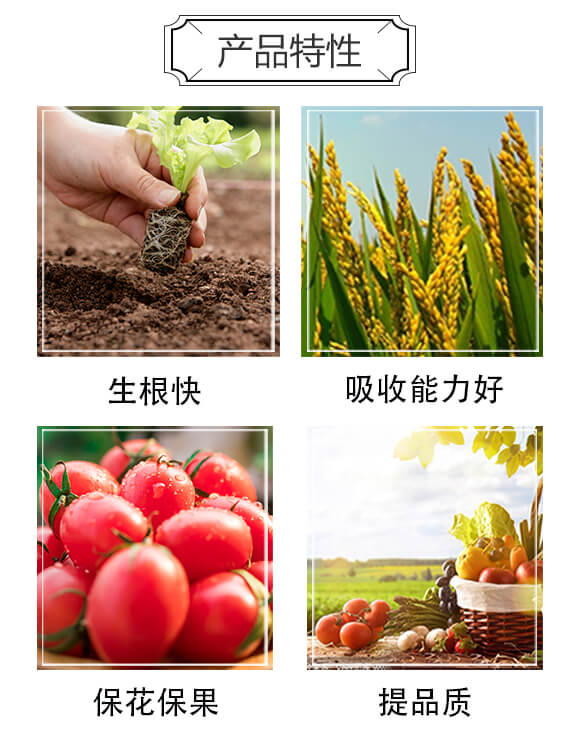 含生物菌腐植酸水溶肥-咖菲粒-科達農(nóng)化_02