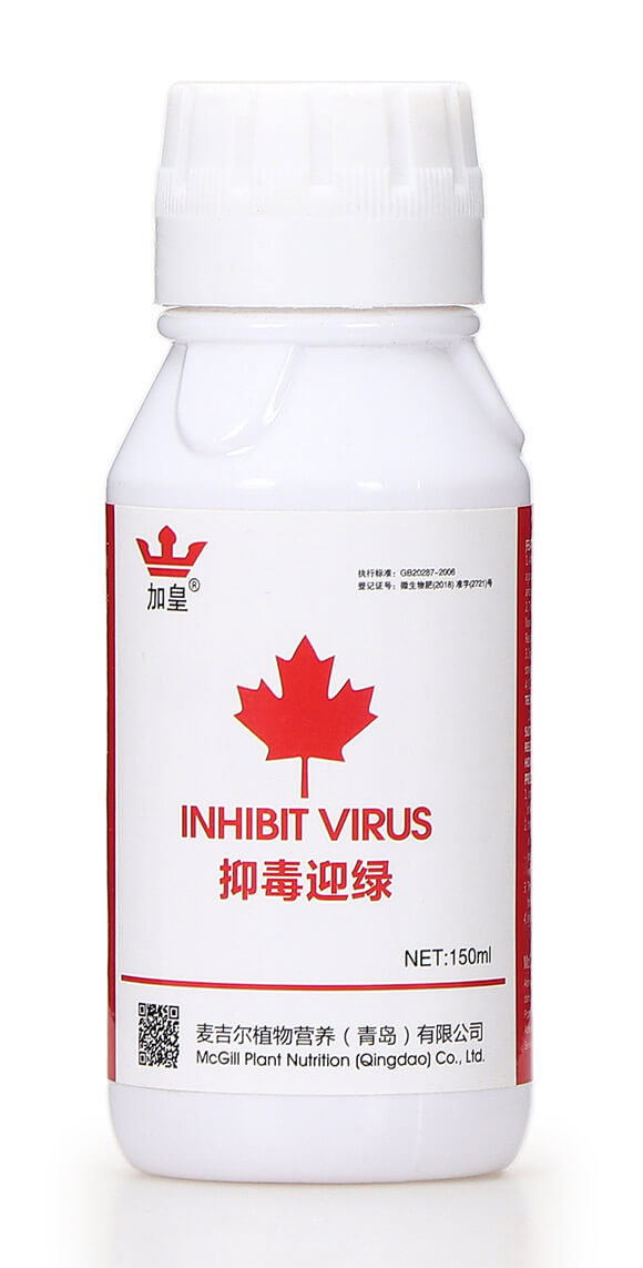 抑毒迎綠(專治病毒?。?綠肥5