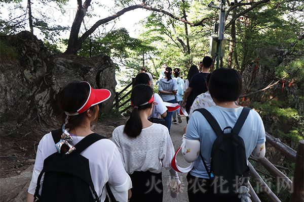 爬山-(18)