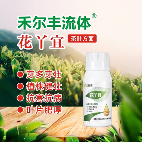 花丫宜2