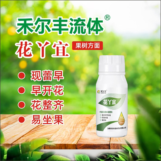 花丫宜4