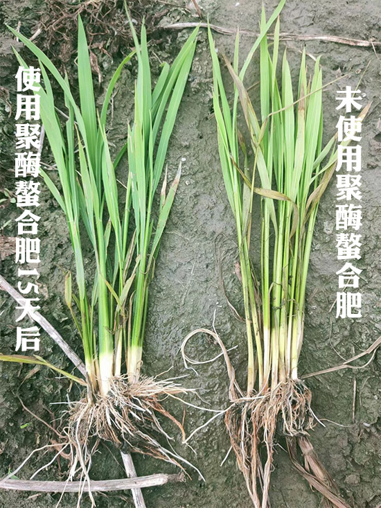 未標題-1