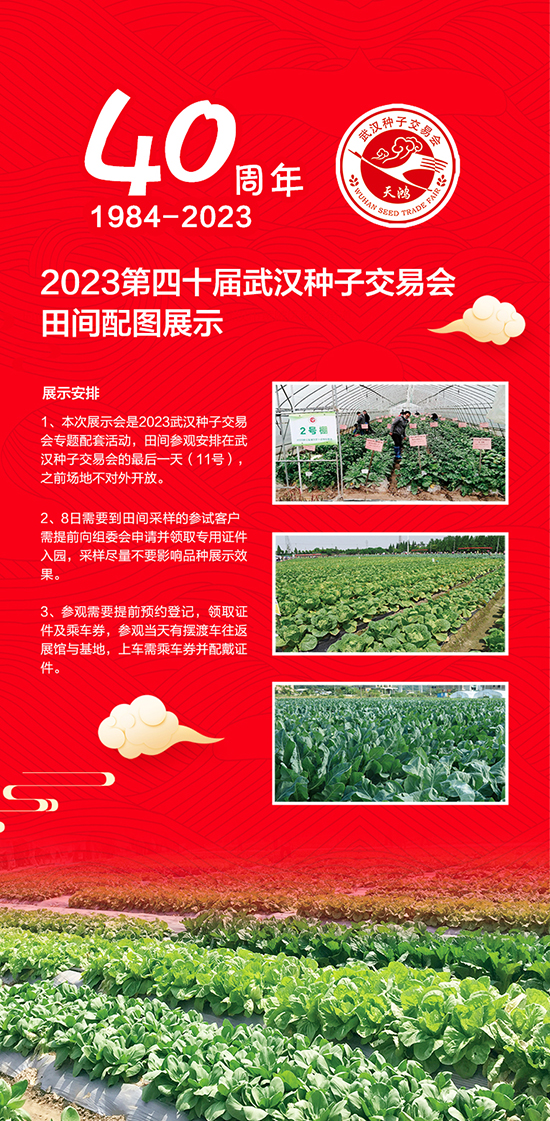 種子會(huì)3