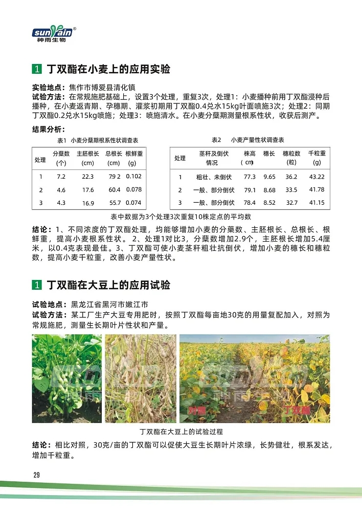 丁雙酯1