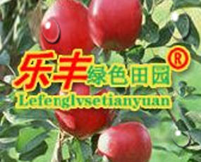 山東樂豐生物科技有限公司