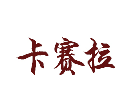 荷蘭卡賽拉國際集團(tuán)有限公司