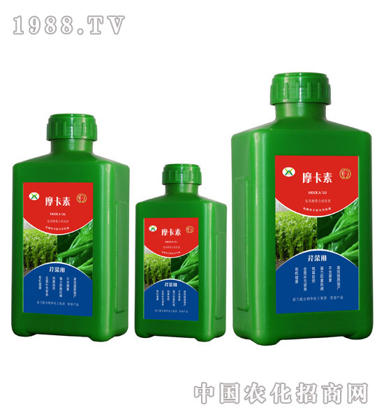 芹菜專用氨基酸螯合液肽肥-摩卡素-強(qiáng)芯國(guó)際