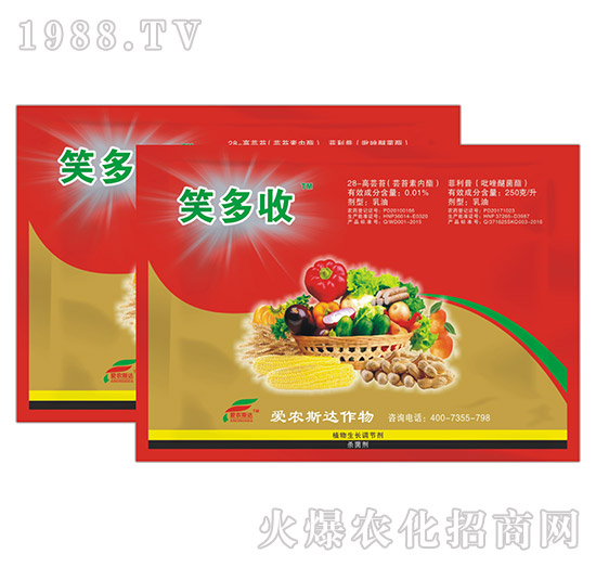 蕓苔素內脂-笑多收-愛農斯達