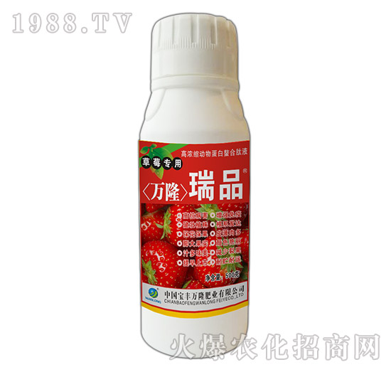 草莓專用高濃縮動物蛋白螯合肽液-瑞品-寶豐萬隆