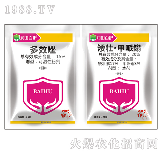 15%多效唑+20%矮壯·甲哌鎓-潤田百護