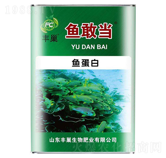 魚(yú)蛋白-魚(yú)敢當(dāng)-豐巢
