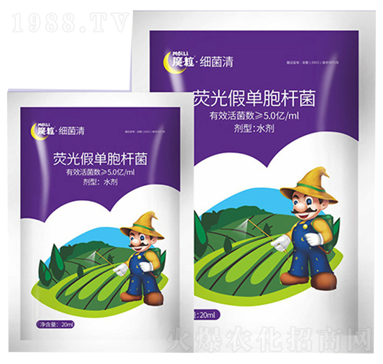 熒光假單胞桿菌-細菌清-魔粒肥業(yè)