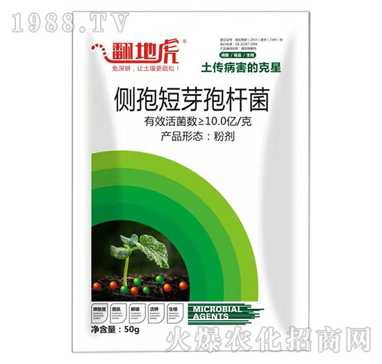 側孢短芽孢桿菌-翻地虎-碩達