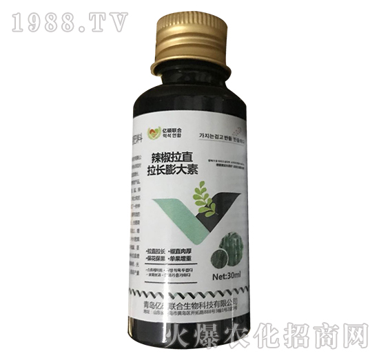 辣椒拉直拉長膨大素-匯豐植保