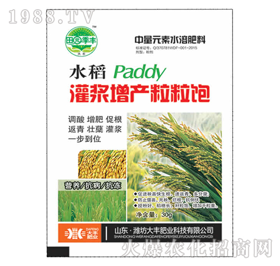 水稻灌漿增產粒粒飽-田園季豐-大豐肥業(yè)