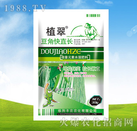 豆角快直長-植翠-豐農農化