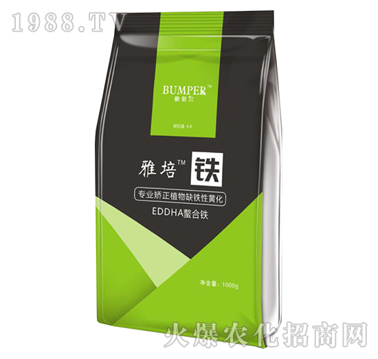 雅培鐵-索豐