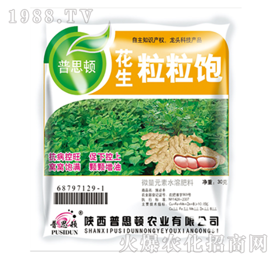 花生粒粒飽-普思頓農業(yè)