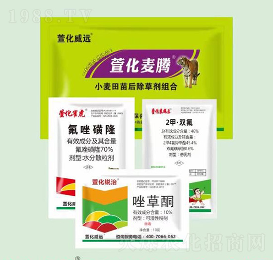 小麥田苗后除草劑組合-萱化麥騰-萱化威遠