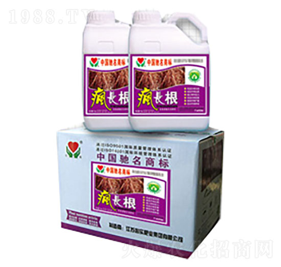 瘋長根-心實(shí)肥業(yè)