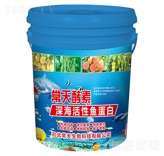 深?；钚贼~蛋白-常天酵素-常天生物
