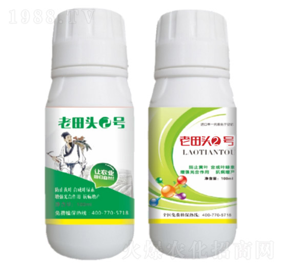 真菌、細菌性病害、病毒?。ㄖ胁菟幣浞剑?老田頭2號